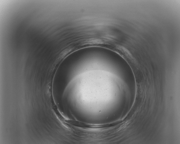 X0000071381225200606301801