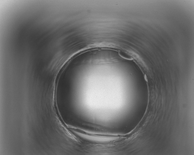 X0000071381228200606301801