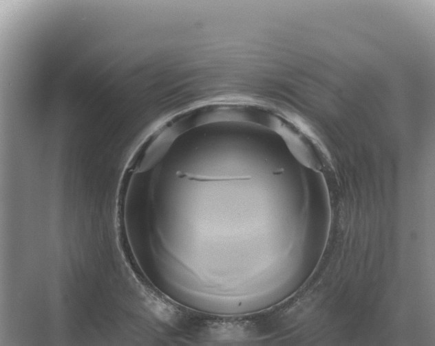 X0000071381229200606301801