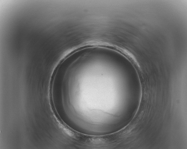 X0000071381231200606301801