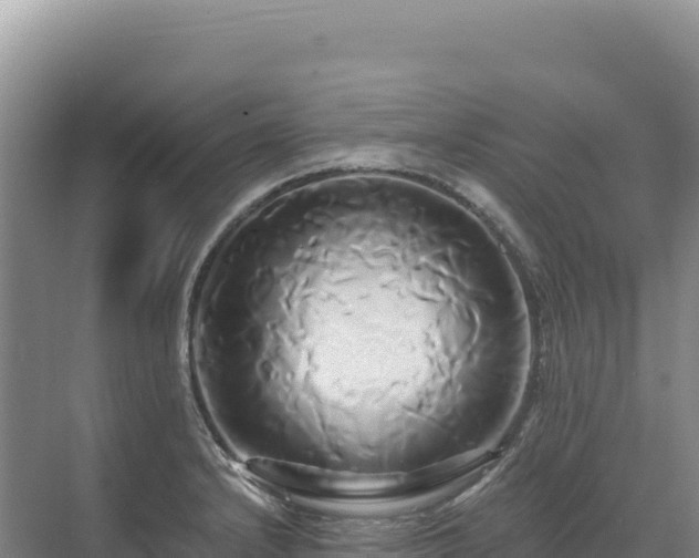 X0000071381232200606301801