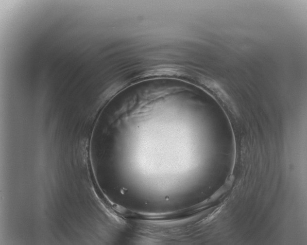 X0000071381233200606301801