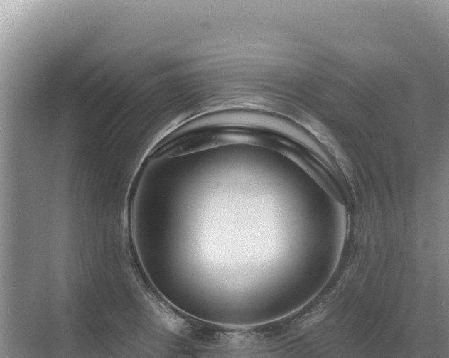 X0000071381234200606301801