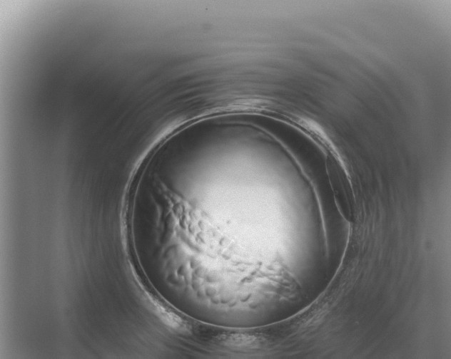 X0000071381235200606301801