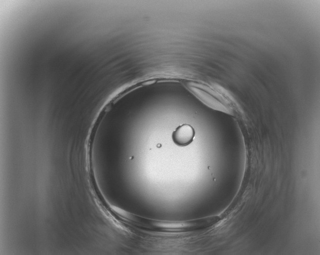 X0000071381238200606301801