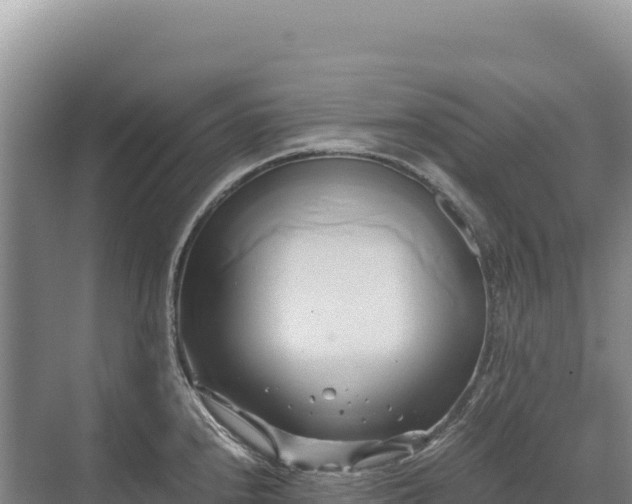 X0000071381240200606301801