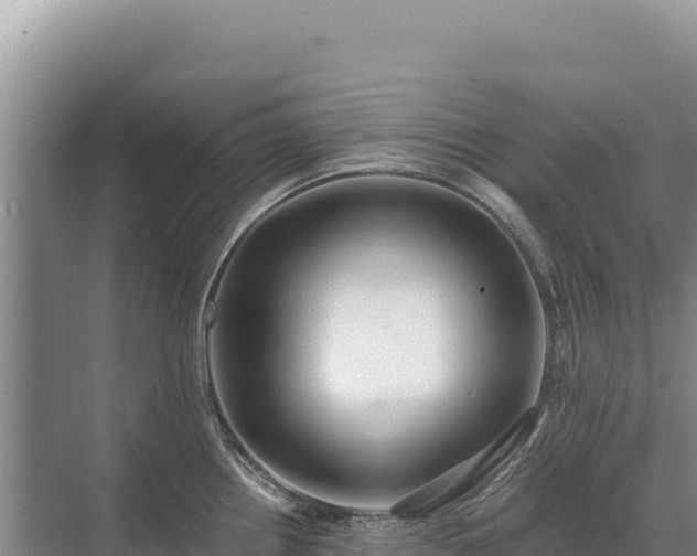 X0000071381242200606301801