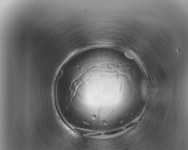 X0000071381243200606301801