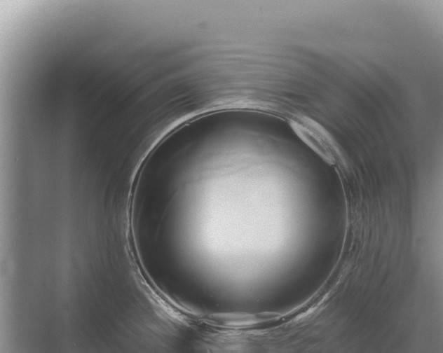 X0000071381244200606301801