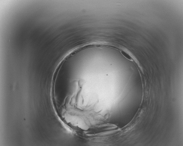 X0000071381245200606301801