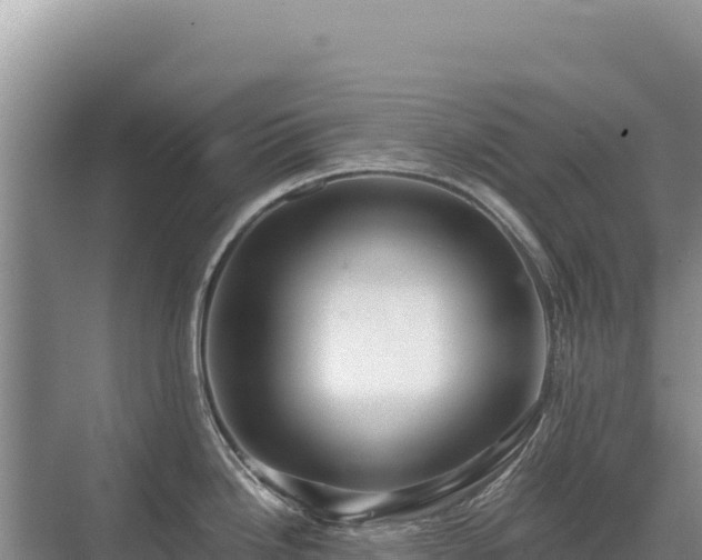 X0000071381246200606301801