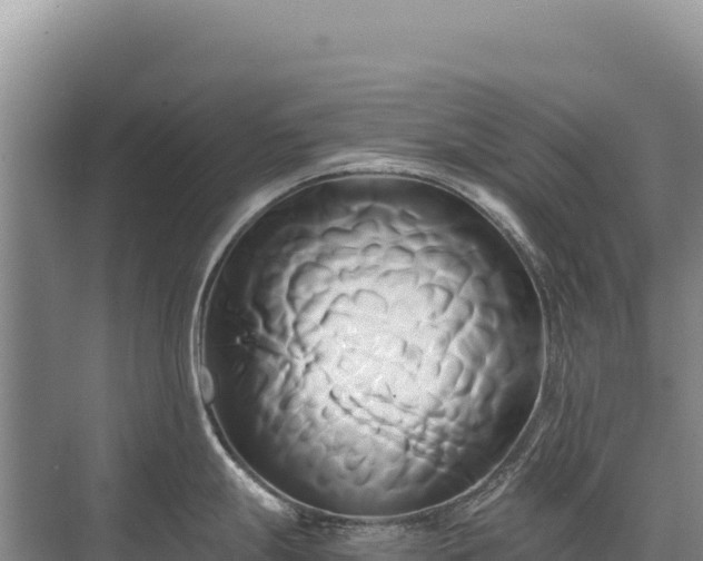 X0000071381247200606301801