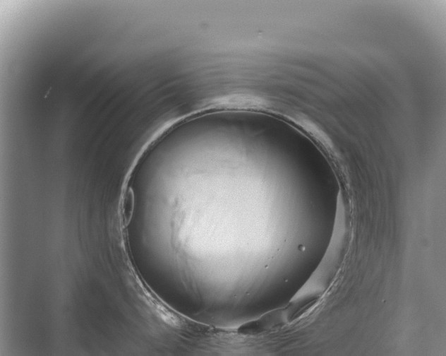 X0000071381248200606301802