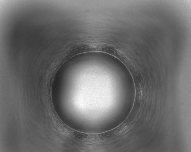 X0000071381249200606301801