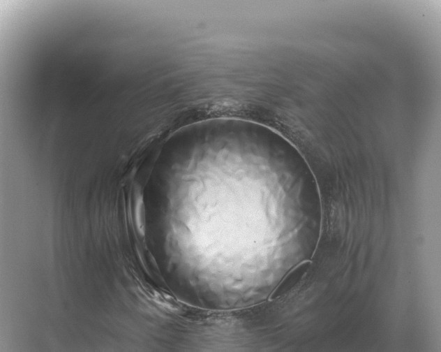 X0000071381250200606301801