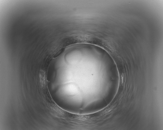 X0000071381251200606301801