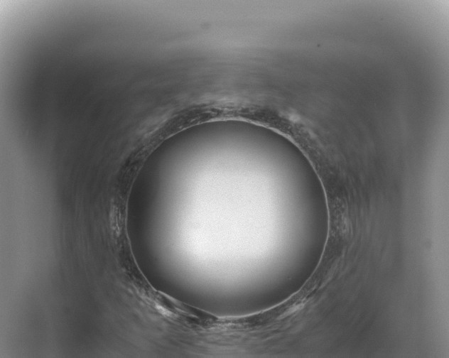 X0000071381253200606301801