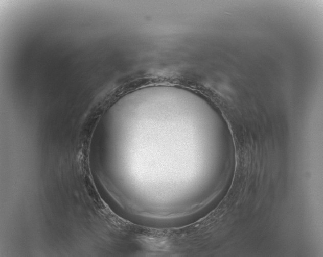 X0000071381254200606301801