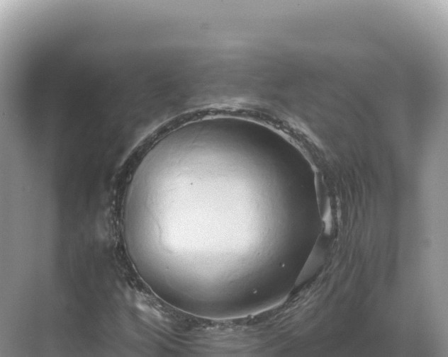 X0000071381256200606301801