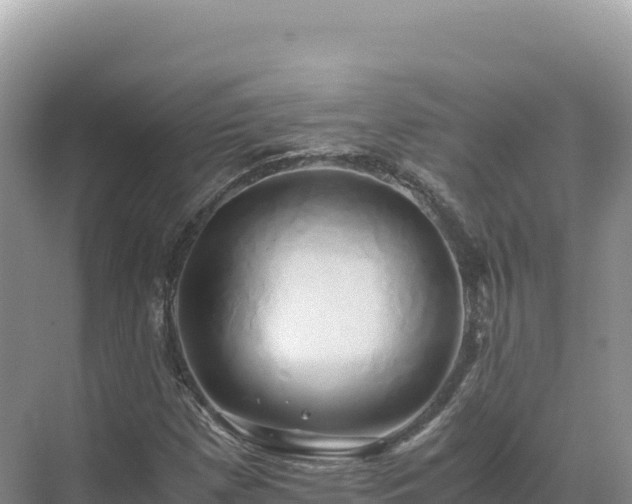 X0000071381257200606301801