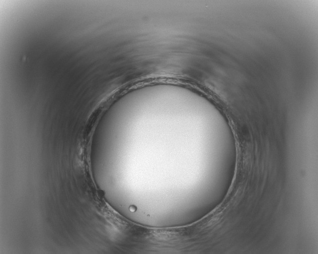 X0000071381258200606301801