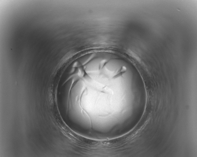 X0000071381259200606301801