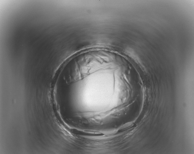 X0000071381260200606301801