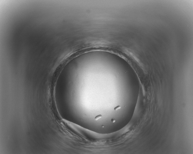 X0000071381261200606301800