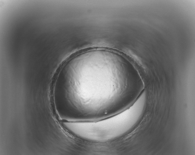 X0000071381264200606301800