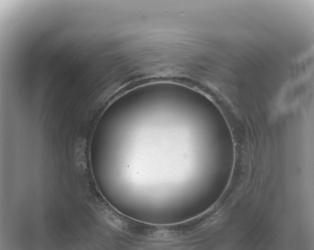 X0000071381265200606301800