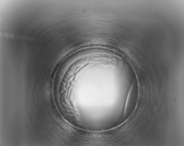 X0000071381266200606301800