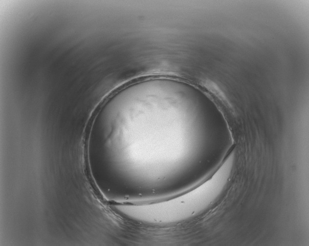 X0000071381268200606301800