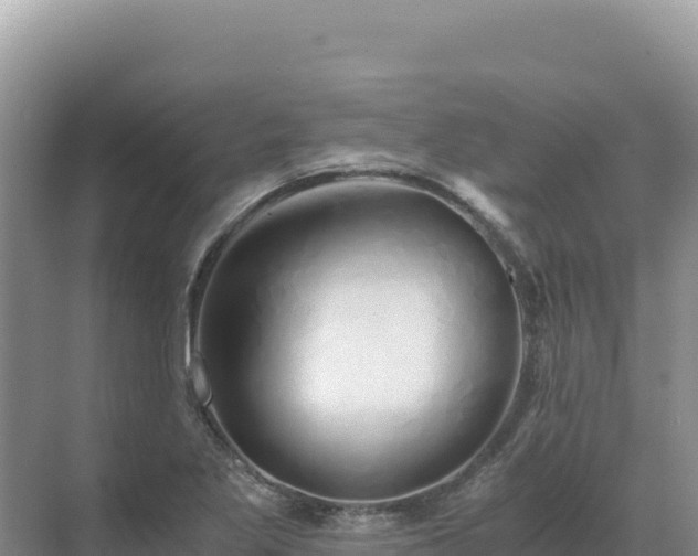 X0000071381269200606301800