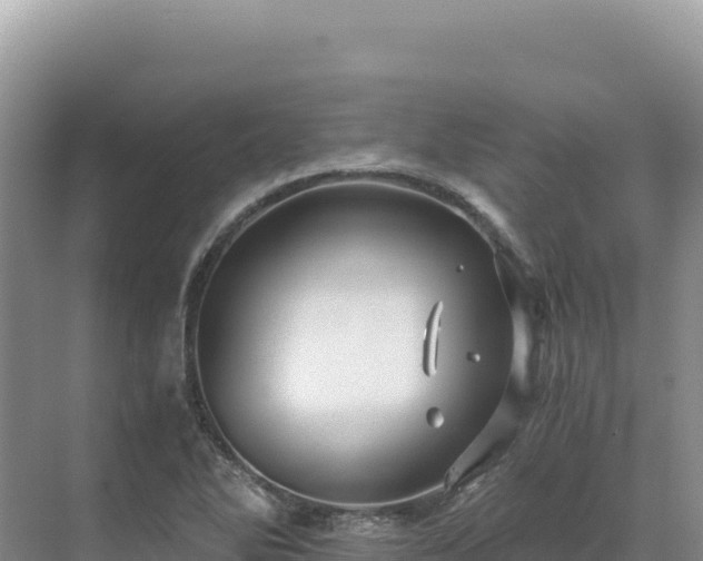 X0000071381270200606301800