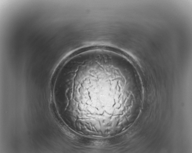 X0000071381271200606301800