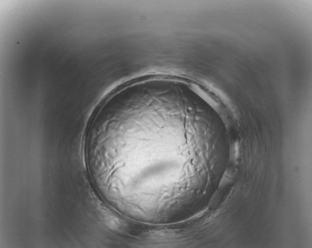 X0000071381272200606301800