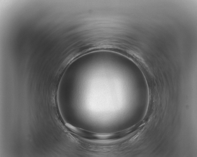 X0000071381273200606301800