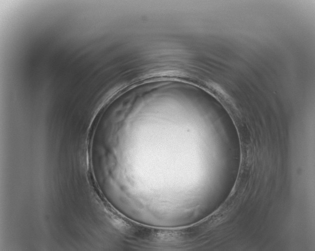 X0000071381274200606301800