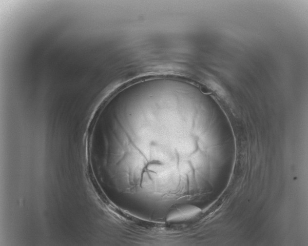 X0000071381275200606301800