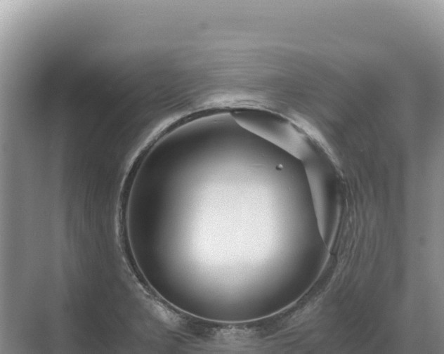 X0000071381277200606301800