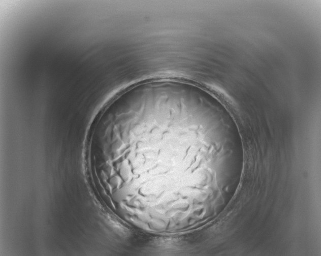 X0000071381278200606301800