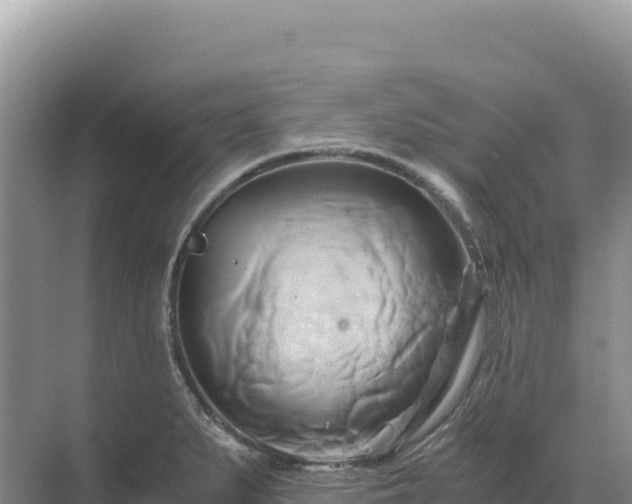 X0000071381279200606301800