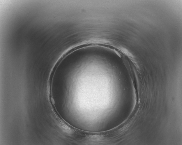 X0000071381280200606301800