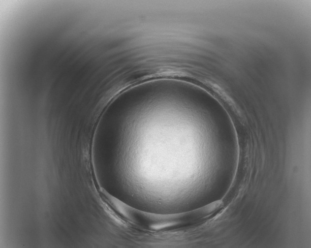 X0000071381281200606301800