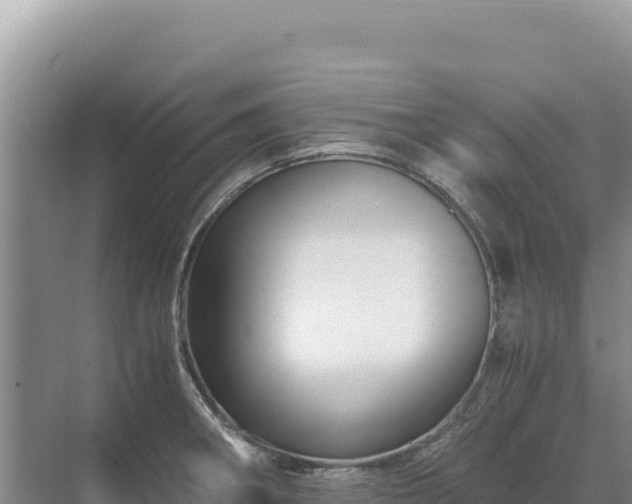 X0000071381282200606301800