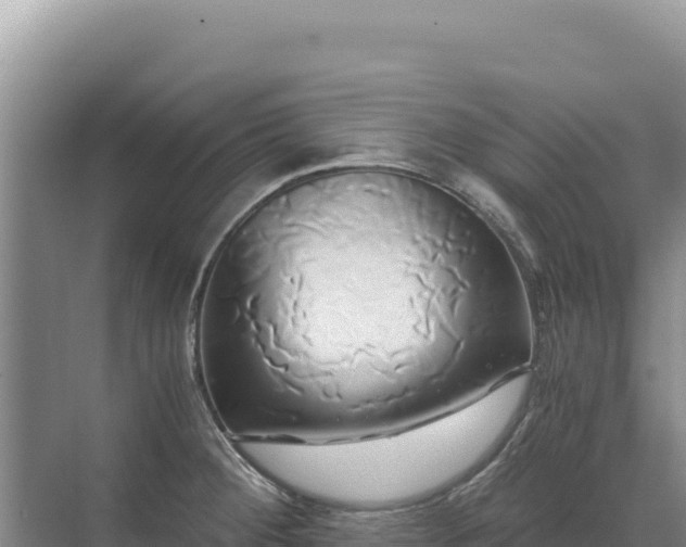 X0000071381284200606301800