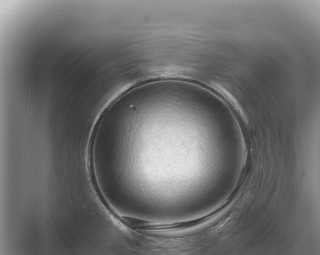 X0000071381285200606301800