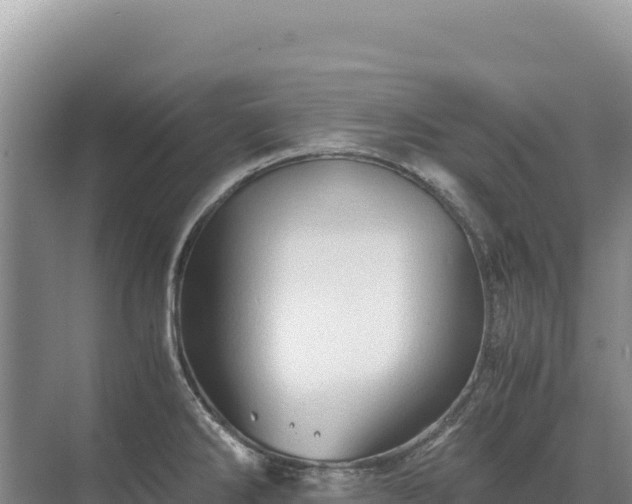 X0000071381286200606301800