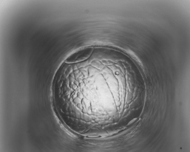 X0000071381287200606301800