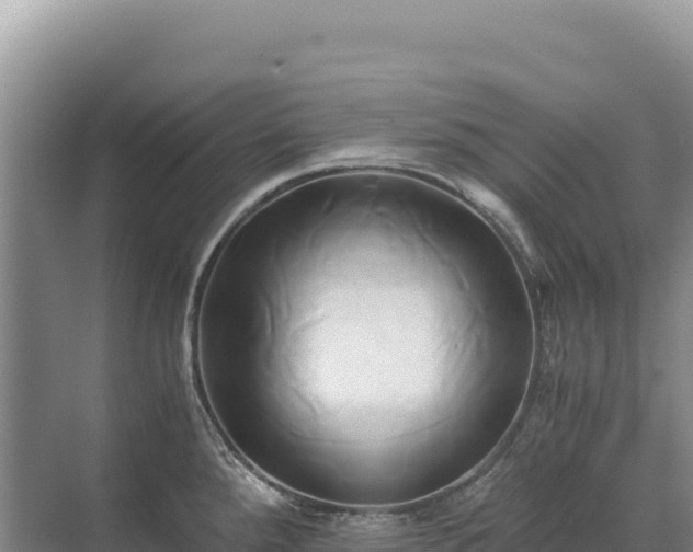 X0000071381288200606301800